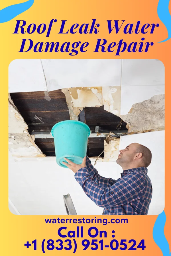 Roof Leak Water Damage Repair in Freeman Spur, IL